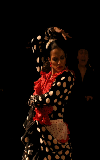 teatro flamenco en Sevilla