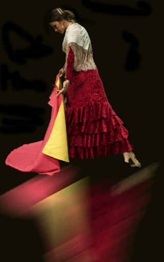 flamenco Andalucía