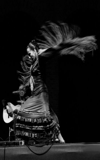 espectaculo flamenco en Sevilla