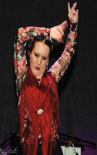 flamenco Sevilla
