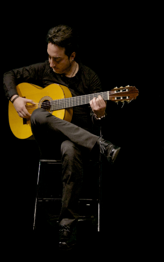  show flamenco Sevilla