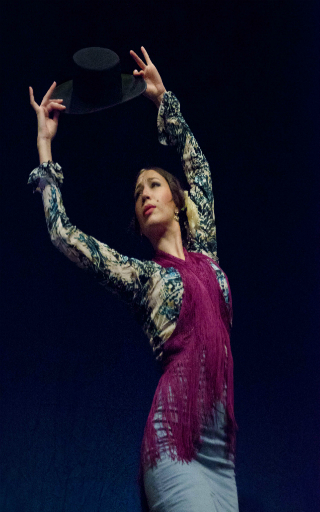 spectacle flamenco Sevilla